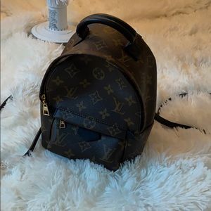 Louis Vuitton Palm Springs Mini Backpack